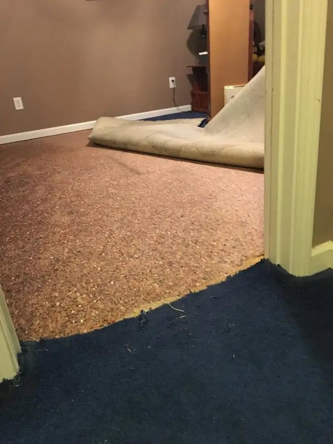 Carpet pad removal revealing water damage during Drying & Dehumidification in Hialeah Gardens